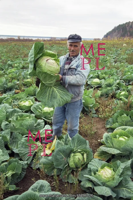 : Farmer Alexey Zharikov : Farmer Alexey Zharikov
