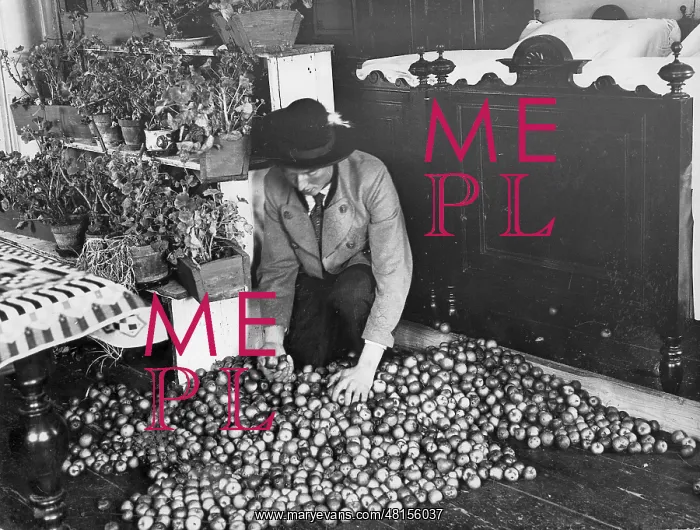 : Farmer with apple stock : Farmer with apple stock