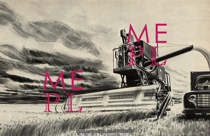 : Farmer on Combine : Farmer on Combine