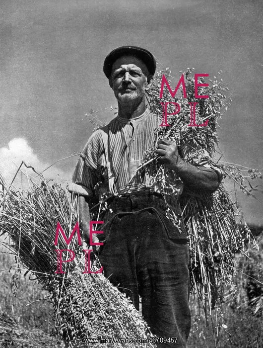 : Farmer and his crop : Farmer and his crop