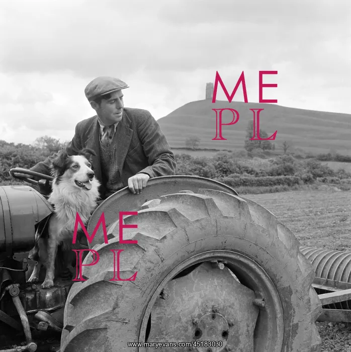 : Farmer And Dog : Farmer And Dog
