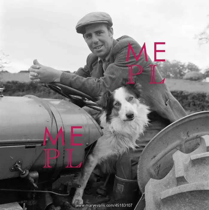 : Farmer And Dog : Farmer And Dog