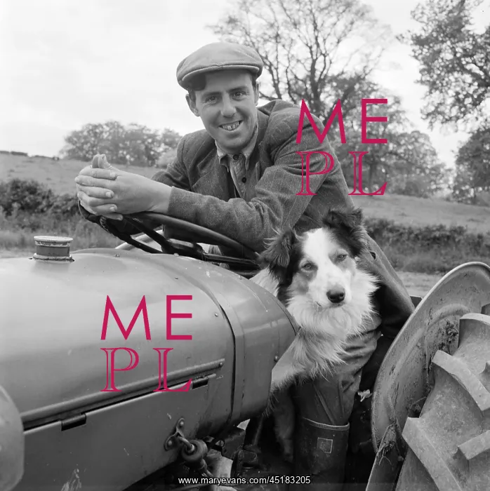 : Farmer And Dog : Farmer And Dog