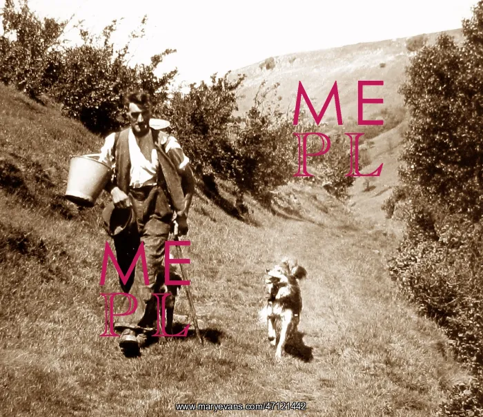  : Farmer and dog, Swaledale