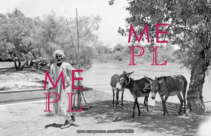 : Farmer with donkeys, 1938 : Farmer with donkeys, 1938