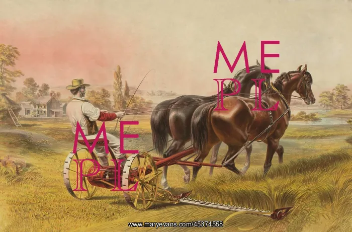 : A farmer drives a horse-powered mowing machine : A farmer drives a horse-powered mowing machine