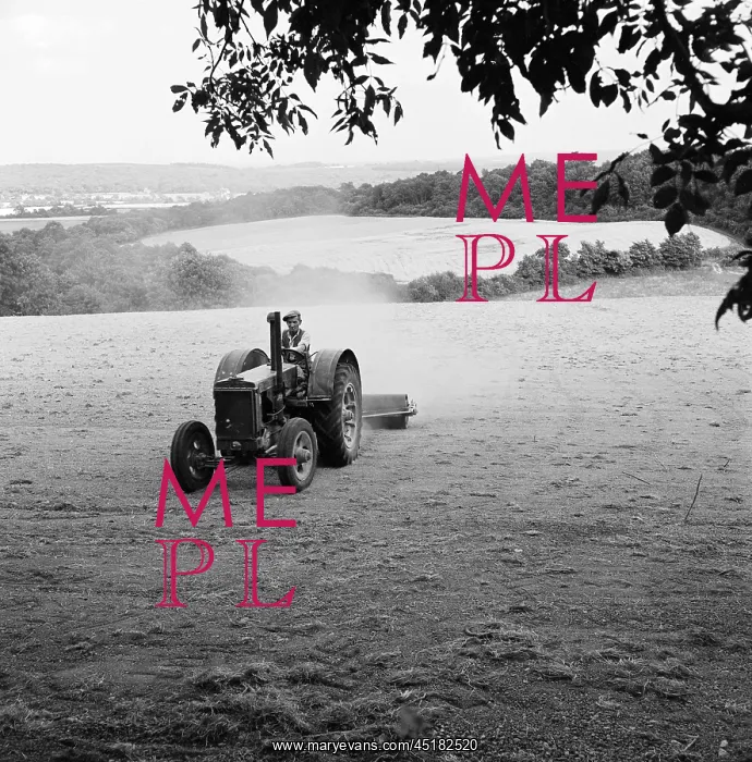 : Farmer driving a Tractor : Farmer driving a Tractor
