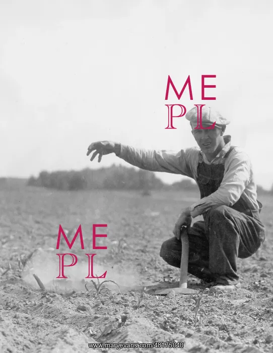 : Farmer during the drought in his field in the corn belt of t : Farmer during the drought in his field in the corn belt of t