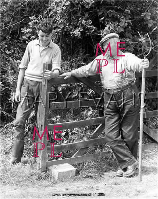  : A FARMER AND FARMHAND