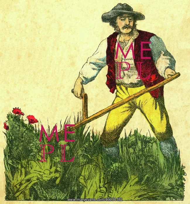: Farmer farming : Farmer farming