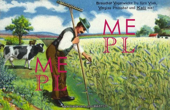 : Farmer in the field : Farmer in the field