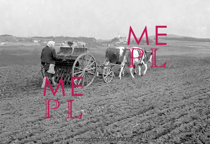 : Farmer - field seeding : Farmer - field seeding