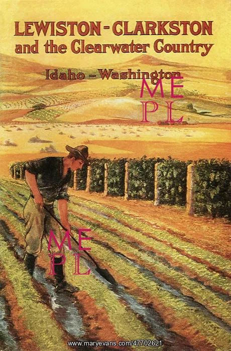  : Farmer in Fields