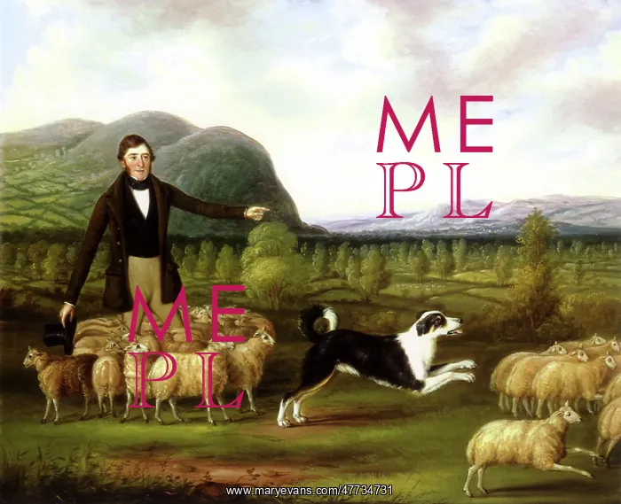  : Farmer with his Flock of Sheep and Sheepdog