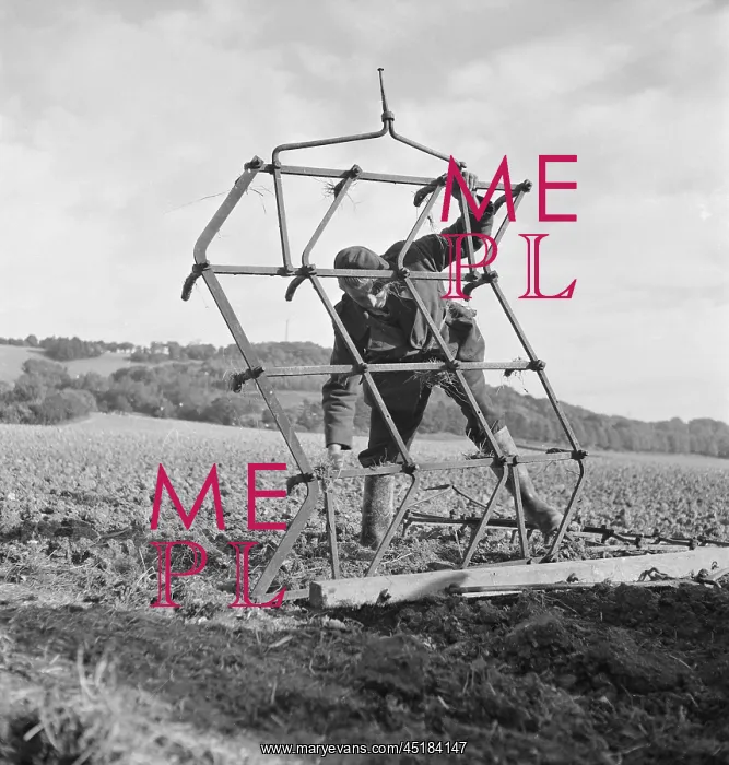 : Farmer With Harrow : Farmer With Harrow