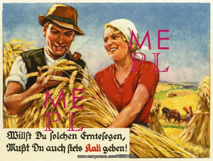 : Farmer during the harvest : Farmer during the harvest
