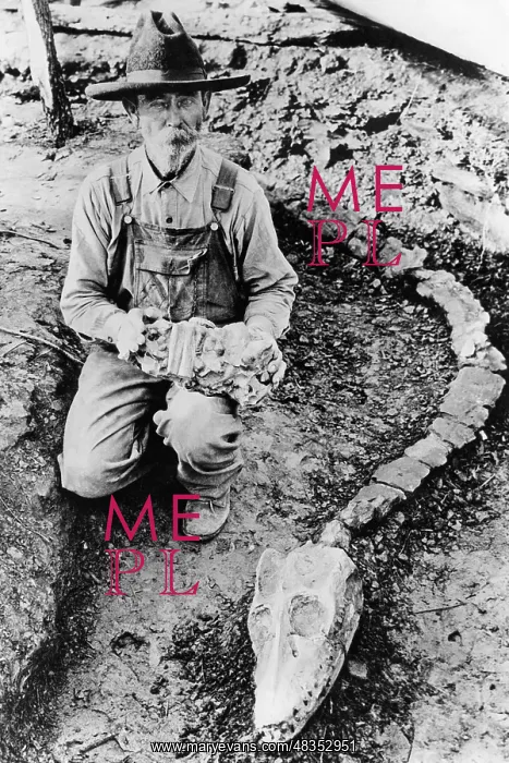: Farmer with head and neck of a dinosaur, 1931 : Farmer with head and neck of a dinosaur, 1931