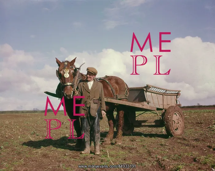 : Farmer with horse and cart in a field : Farmer with horse and cart in a field