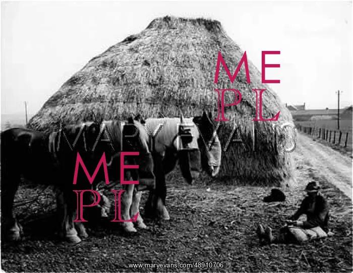  : FARMER & HORSES