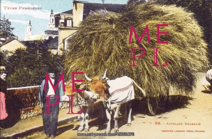 : Farmer and laden ox cart : Farmer and laden ox cart