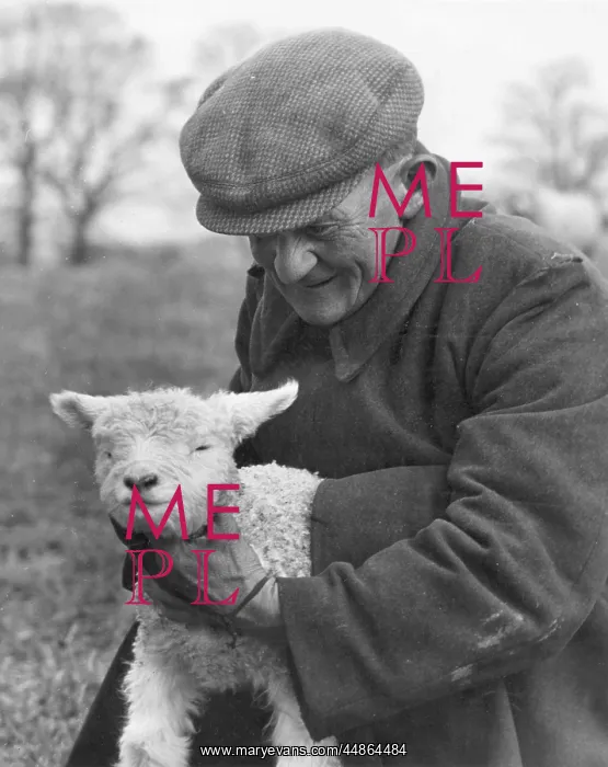  : FARMER & LAMB