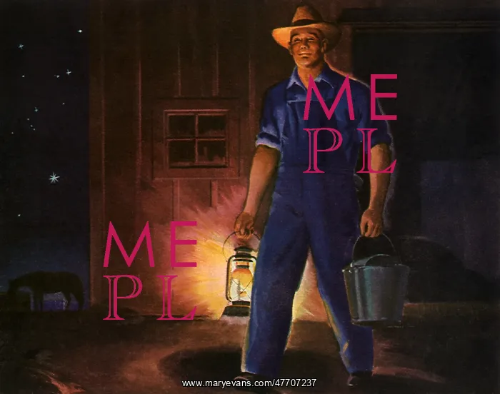  : Farmer and Night Chores