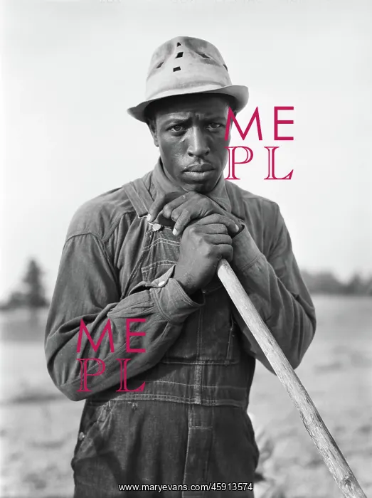 : Farmer - Occupations - African-American Ethnicity : Farmer - Occupations - African-American Ethnicity