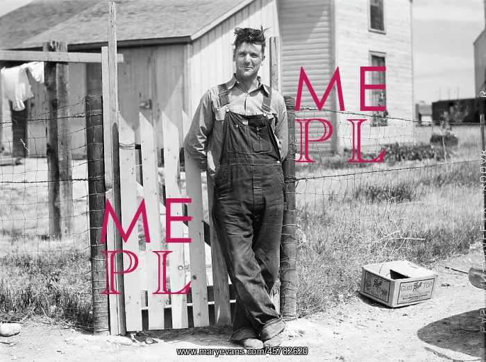 : Farmer - Occupations - Montana : Farmer - Occupations - Montana