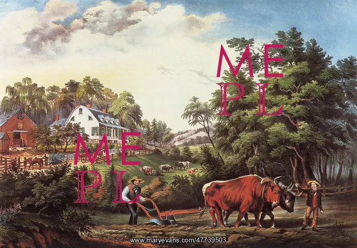 : Farmer and Ox plowing Field : Farmer and Ox plowing Field