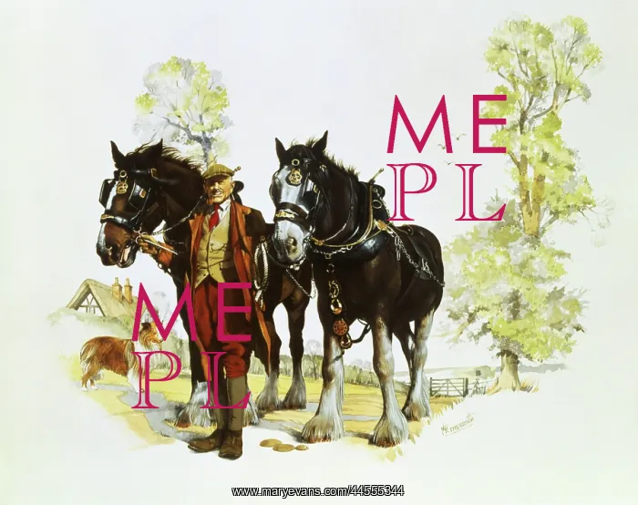  : Farmer with a pair of shire horses