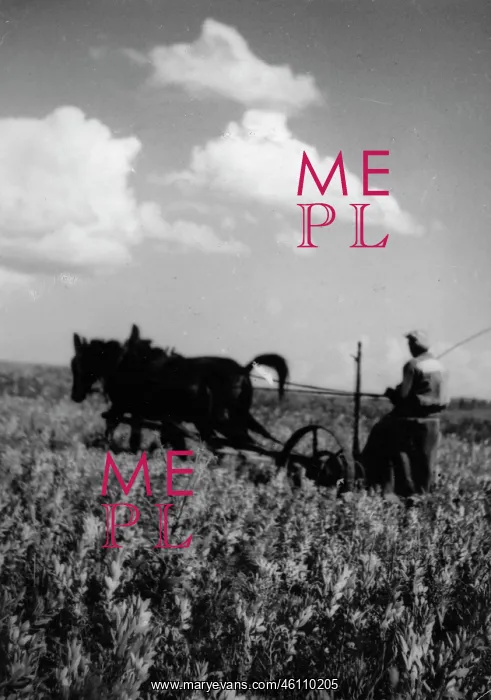  : Farmer plowing the field