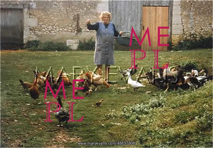: FARMER AND POULTRY : FARMER AND POULTRY