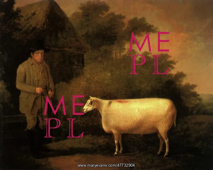  : Farmer and Prize Ram
