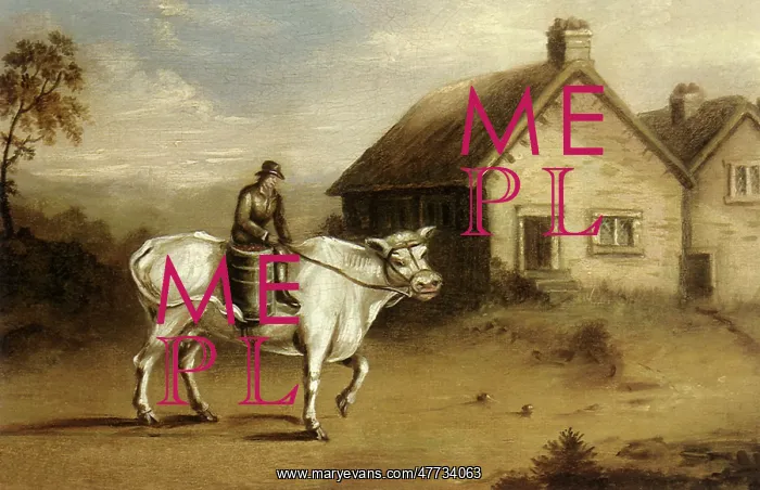  : Farmer Rides Bull