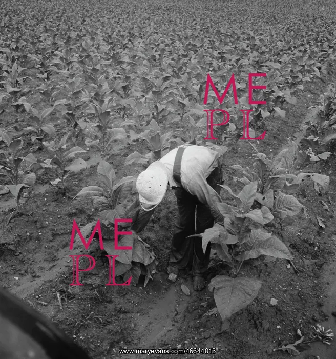 : Farmer - Sharecropper - Agriculture : Farmer - Sharecropper - Agriculture