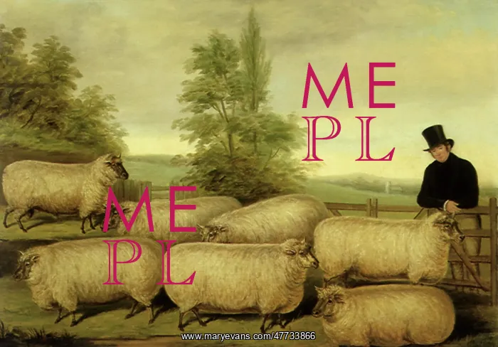  : Farmer and His Sheep