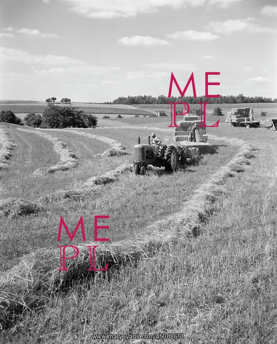 : Farmer on Tractor Towing Straw, Man on Flatbed Loading Bales : Farmer on Tractor Towing Straw, Man on Flatbed Loading Bales