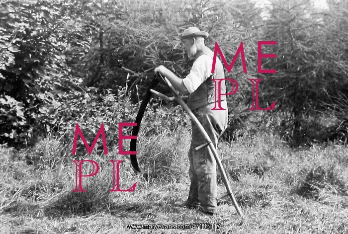  : Farmer using a scythe Victorian period