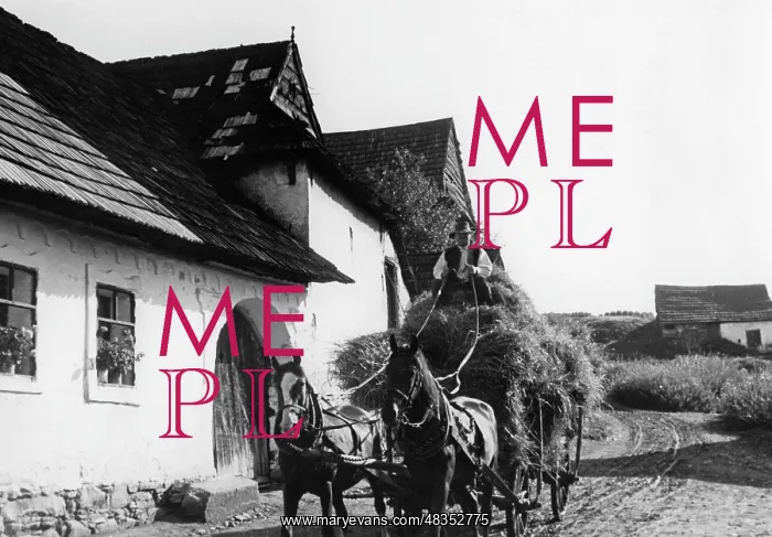 : Farmer in a village in the Spis, 1939 : Farmer in a village in the Spis, 1939