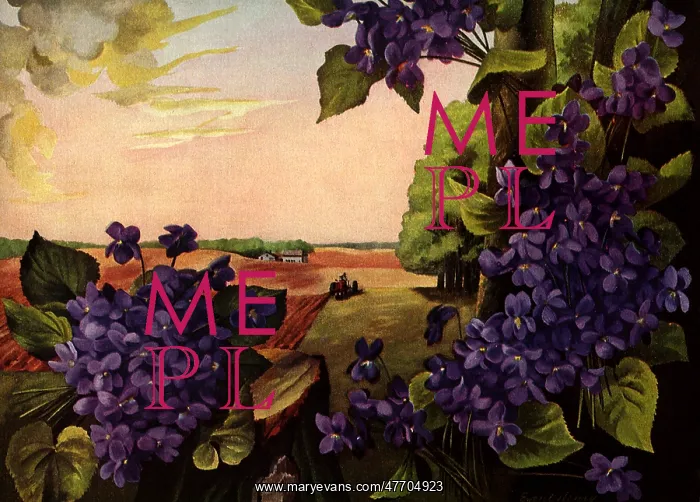  : Farmer and Violets