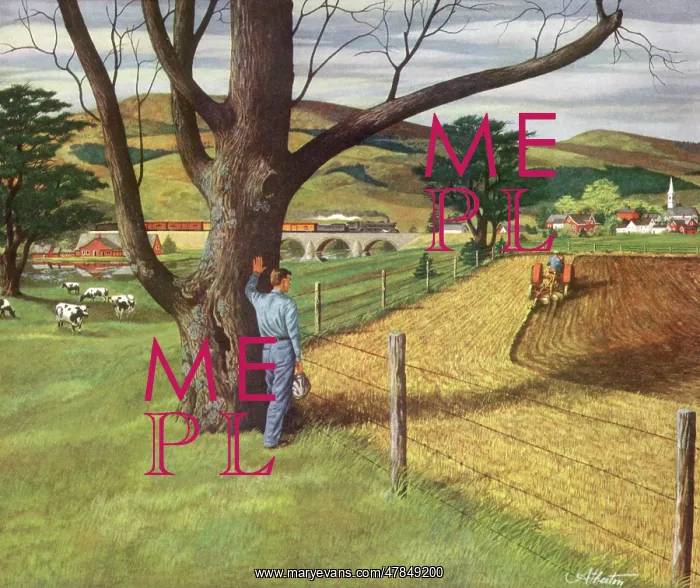  : Farmer Watches Reaping