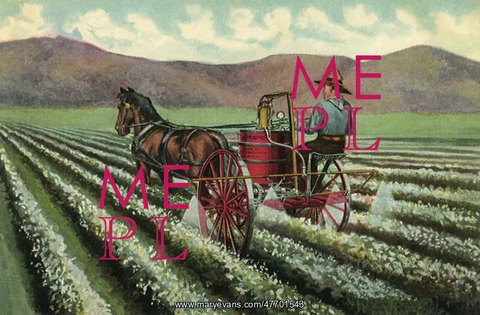  : Farmer Watering Crops