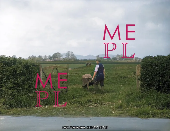 : FARMER WITH WHEELBARROW : FARMER WITH WHEELBARROW