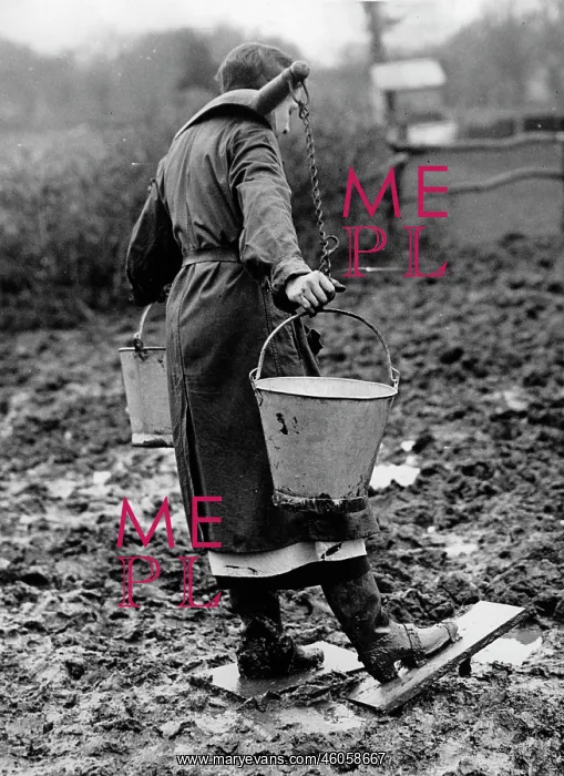 : Farmer at work : Farmer at work