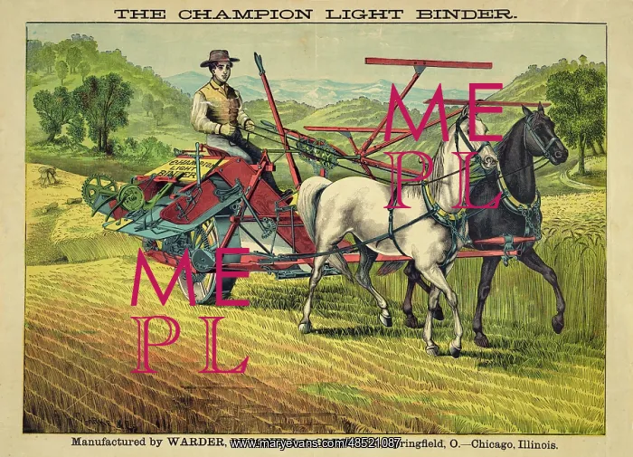 : Farmer working with a Champion light binder machine : Farmer working with a Champion light binder machine