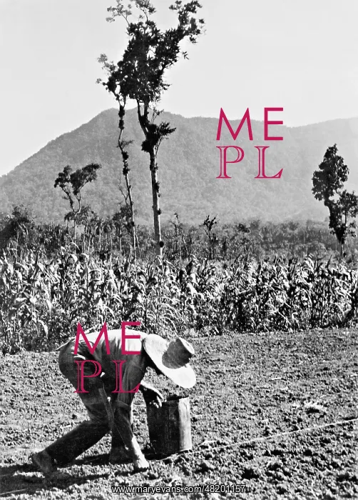 : A farmer working in the field in Brazil, 1939 : A farmer working in the field in Brazil, 1939