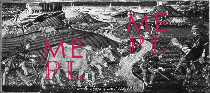 : Farmers around 1445 : Farmers around 1445