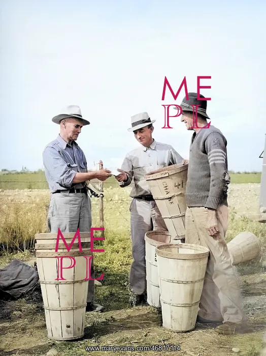 : farmers - agricultural workers - occupations : farmers - agricultural workers - occupations