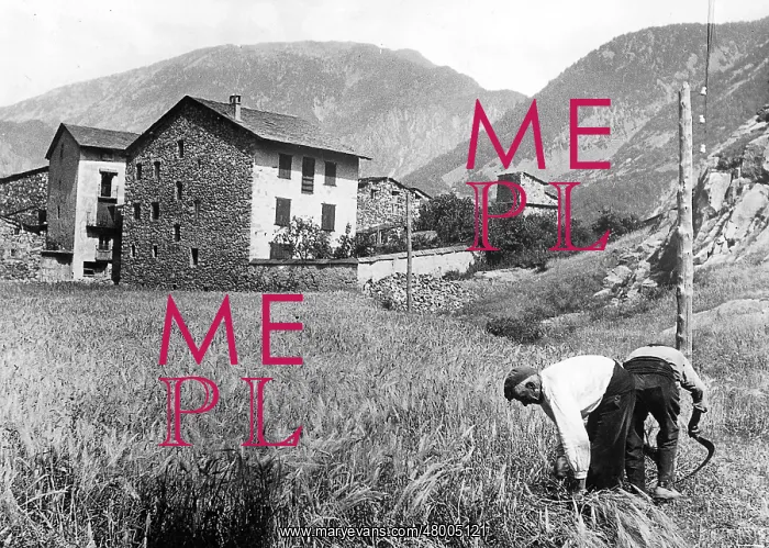  : Farmers of Andorra in the Pyrenees