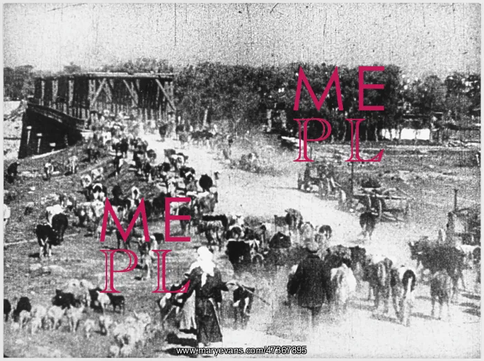 : FARMERS EVACUATE : FARMERS EVACUATE